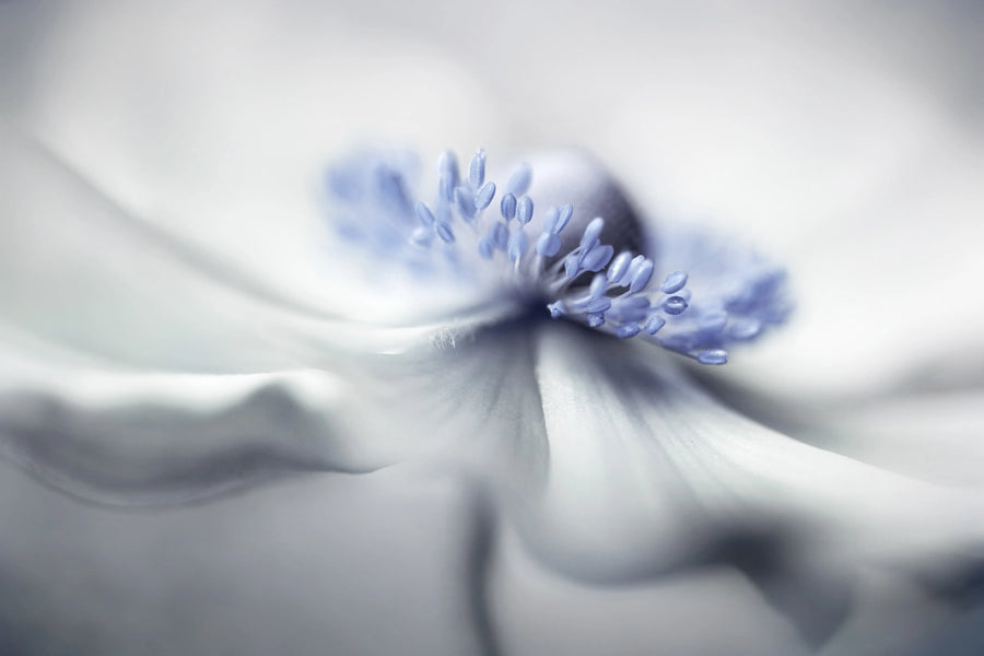 Blue Pastil Mural Wallpaper