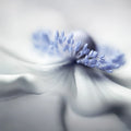 Blue Pastil Mural Wallpaper - pure wallpaper artwork