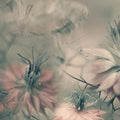 Vintage Blossoms Mural Wallpaper - pure wallpaper artwork