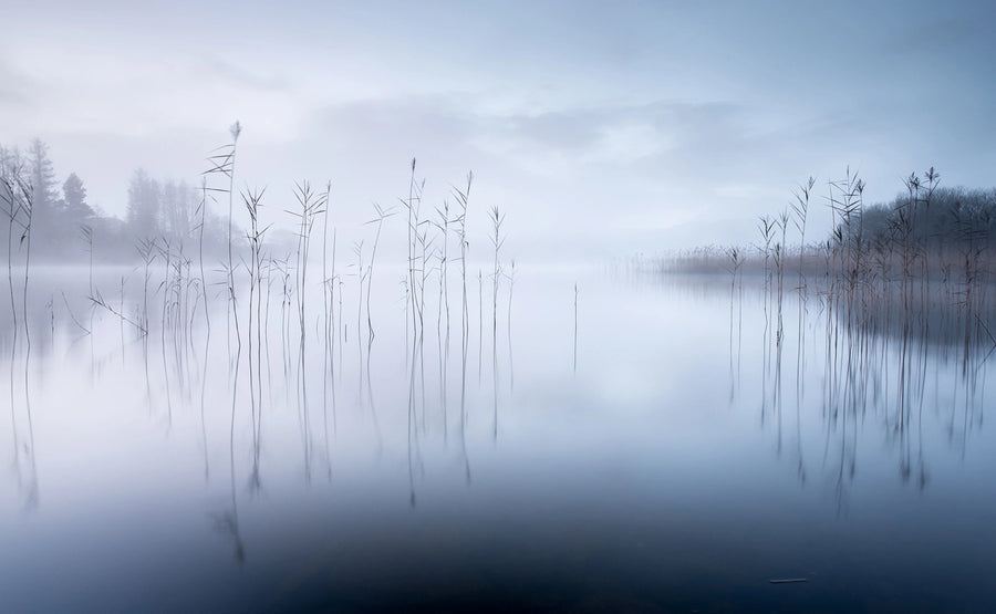 Calm Lake Mural Wallpaper