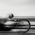 Speedy Mural Wallpaper - pure wallpaper artwork