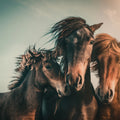 Three Horses Mural Wallpaper - pure wallpaper artwork