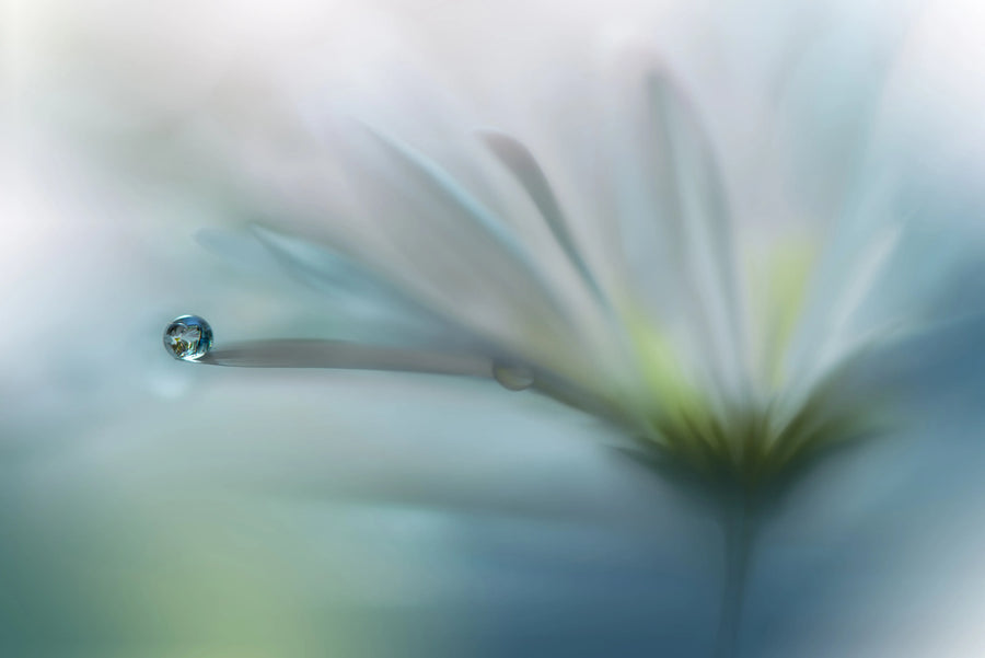 Raindrop Mural Wallpaper
