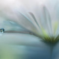 Raindrop Mural Wallpaper - pure wallpaper artwork