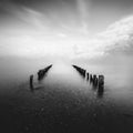 Into The Horizon Mural Wallpaper - pure wallpaper artwork