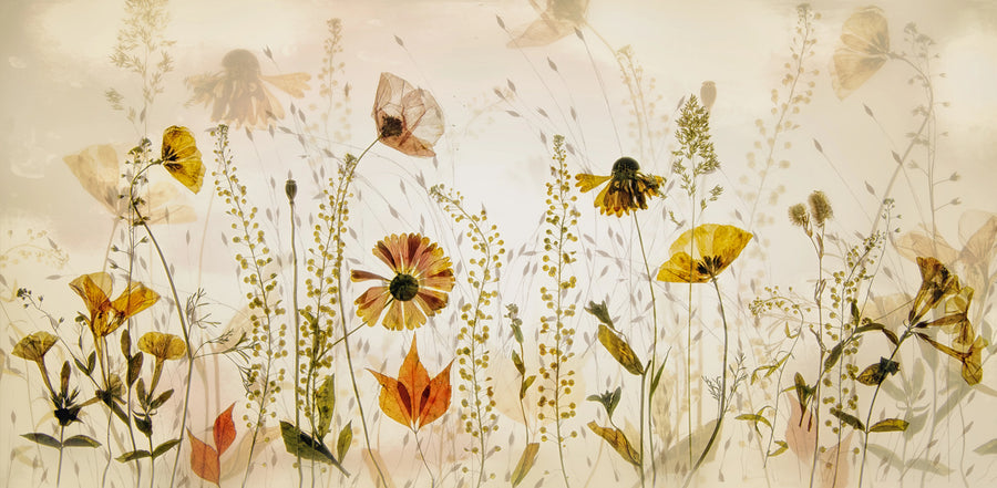 Midsummer Meadow Mural Wallpaper