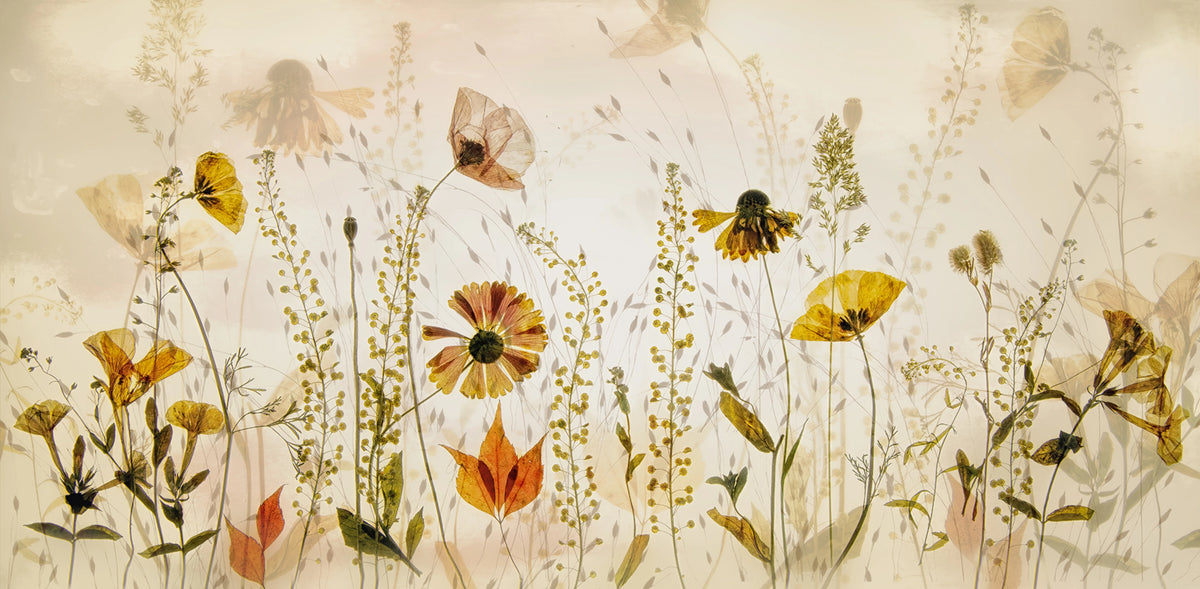 Midsummer Meadow Mural Wallpaper - pure wallpaper artwork
