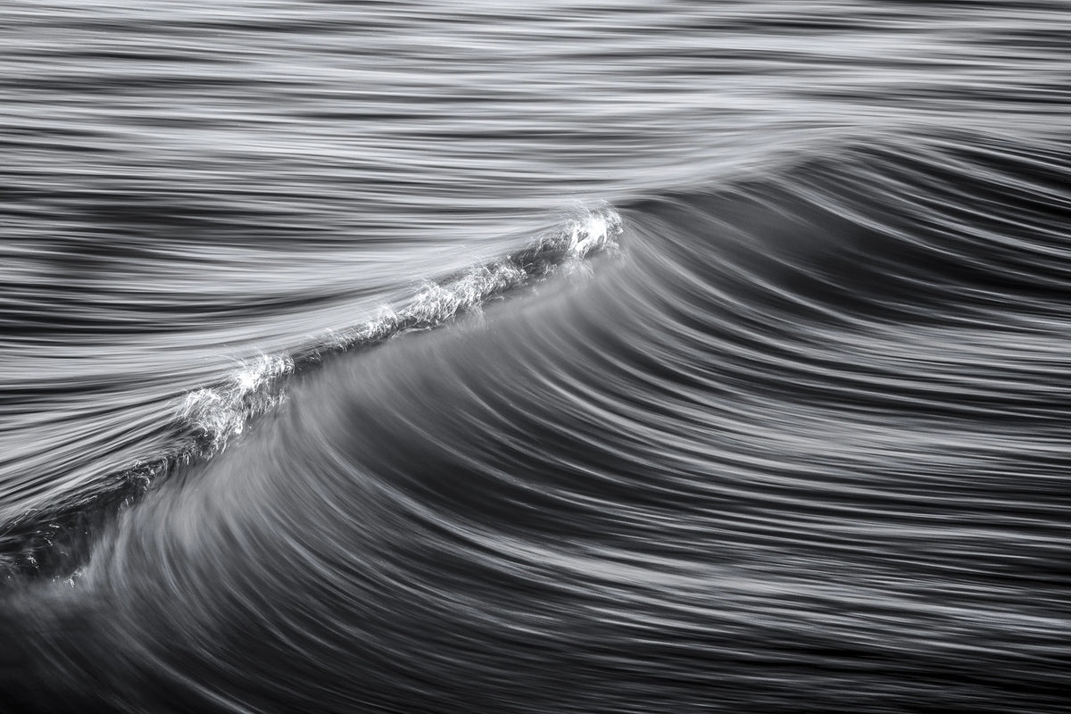Graphic Wave Mural Wallpaper - pure wallpaper artwork