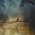 Morning Lake Mural Wallpaper - pure wallpaper artwork
