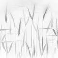 Grain Mural Wallpaper - pure wallpaper artwork