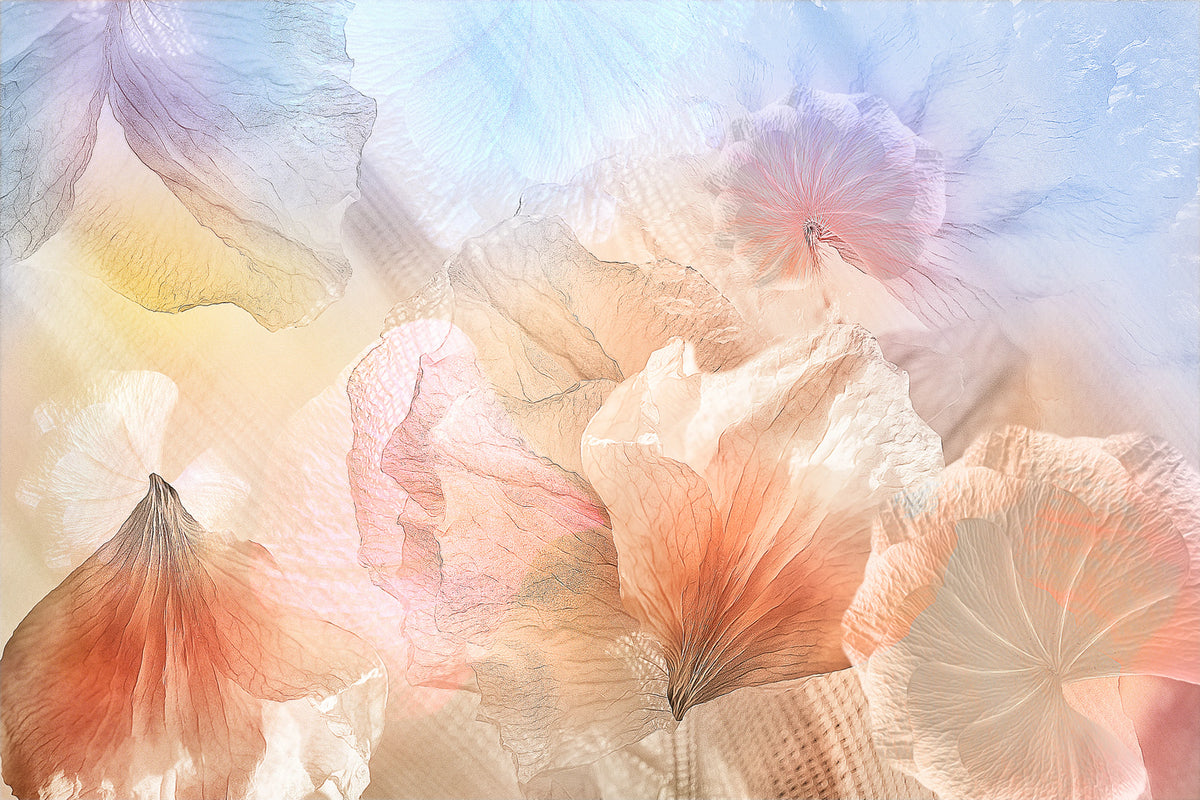 Pastel Petals Mural Wallpaper - pure wallpaper artwork