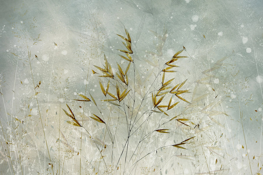 Golden Grain Mural Wallpaper