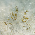 Golden Grain Mural Wallpaper - pure wallpaper artwork