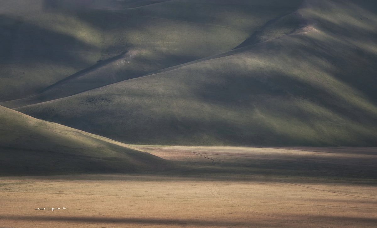 To The Hills Mural Wallpaper - pure wallpaper artwork