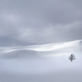 Snowy Hills Mural Wallpaper - pure wallpaper artwork