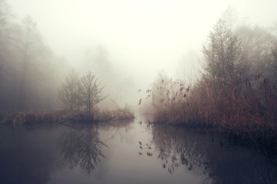 Autumn Pond Mural Wallpaper