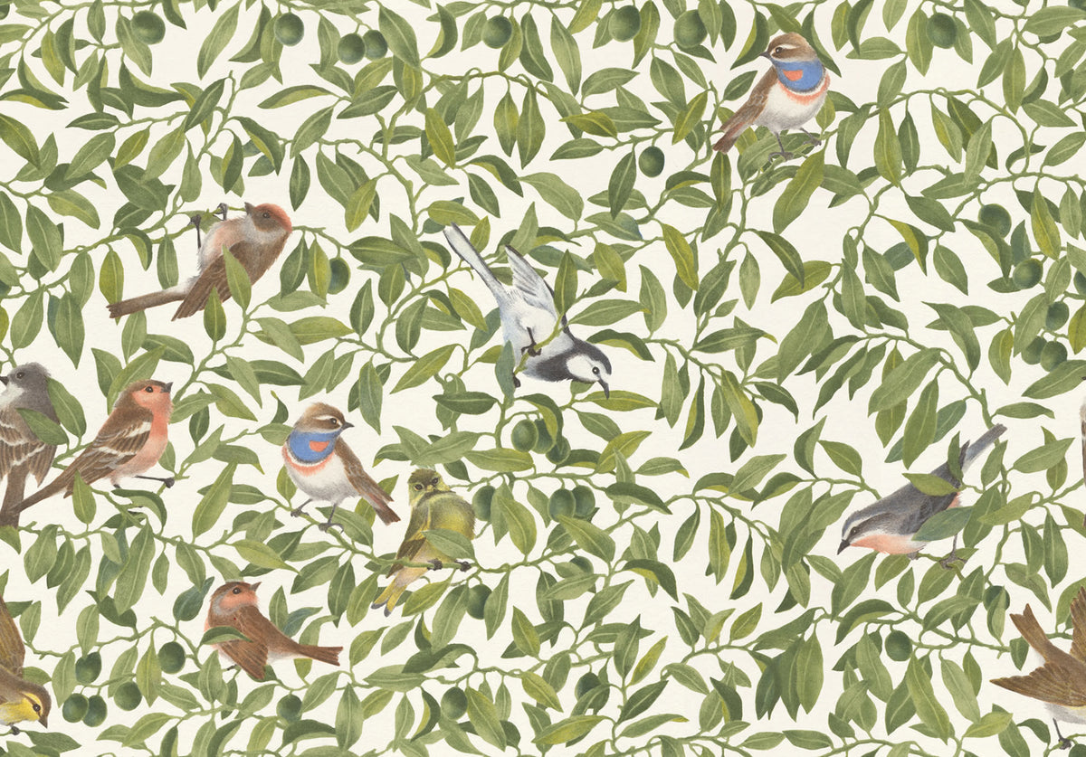 Backwood Birds, White Mural Wallpaper - pure wallpaper artwork