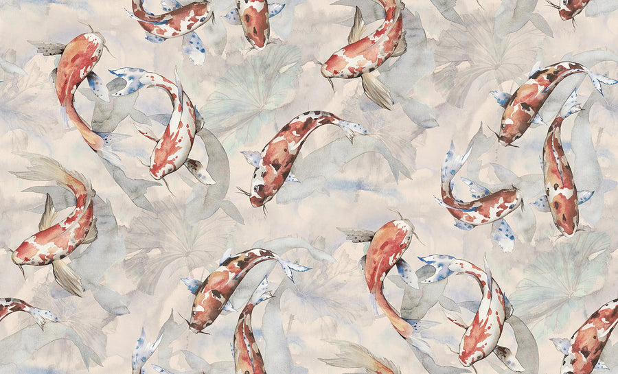 Koi, Coral Mural Wallpaper