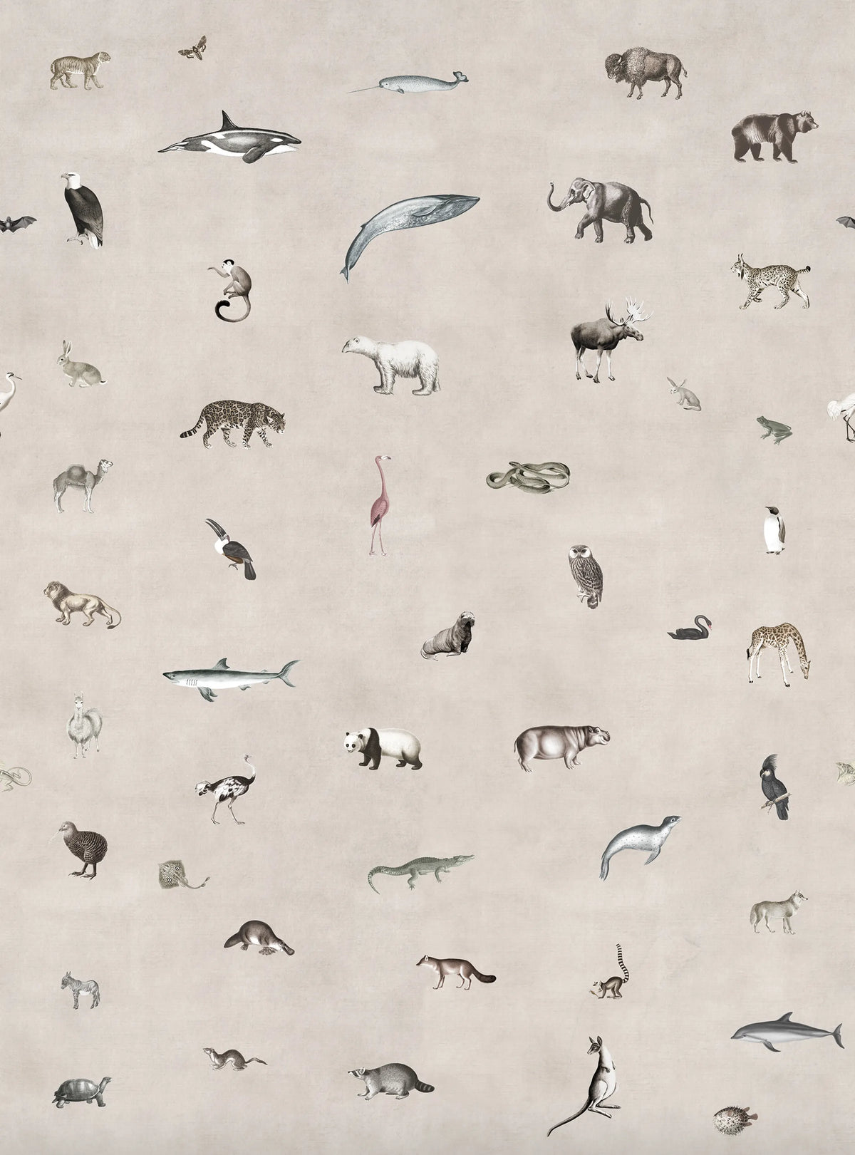 Wildlife Sand Mural Wallpaper - pure wallpaper artwork