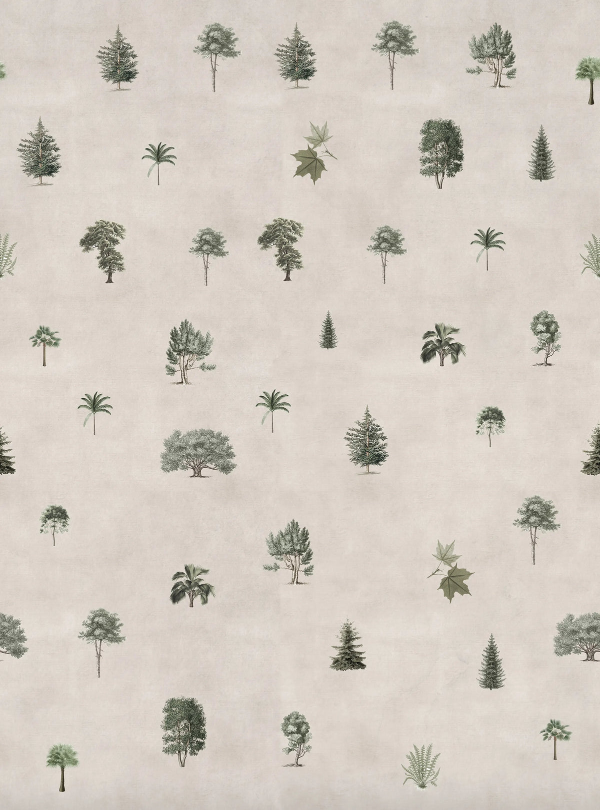 Botanical Garden Sand Mural Wallpaper - pure wallpaper artwork