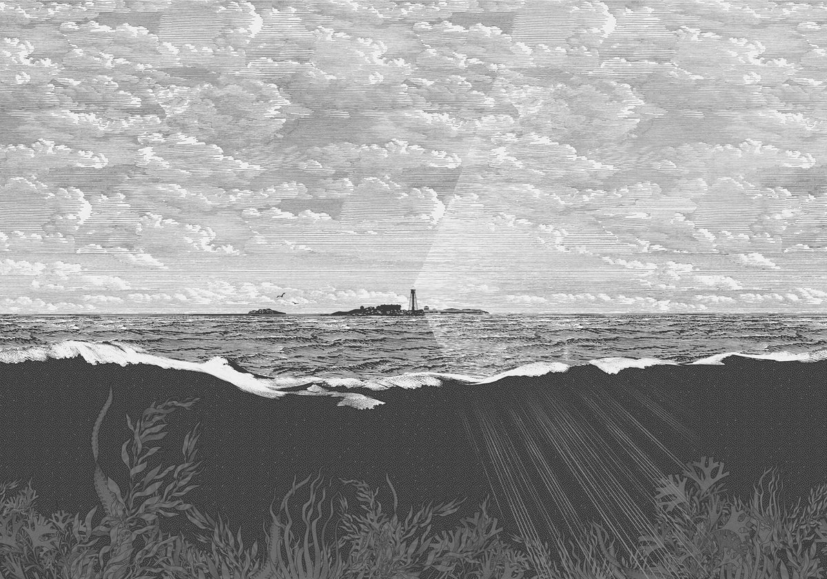 Guiding Light, Graphite Mural Wallpaper - pure wallpaper artwork