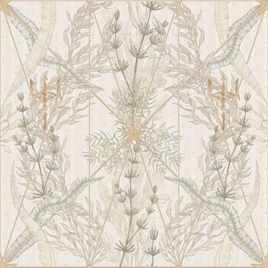 Seaweed & Stars, Sand Mural Wallpaper