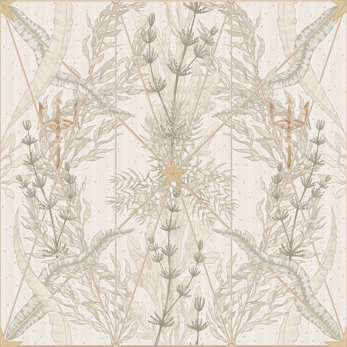 Seaweed & Stars, Sand Mural Wallpaper - pure wallpaper artwork