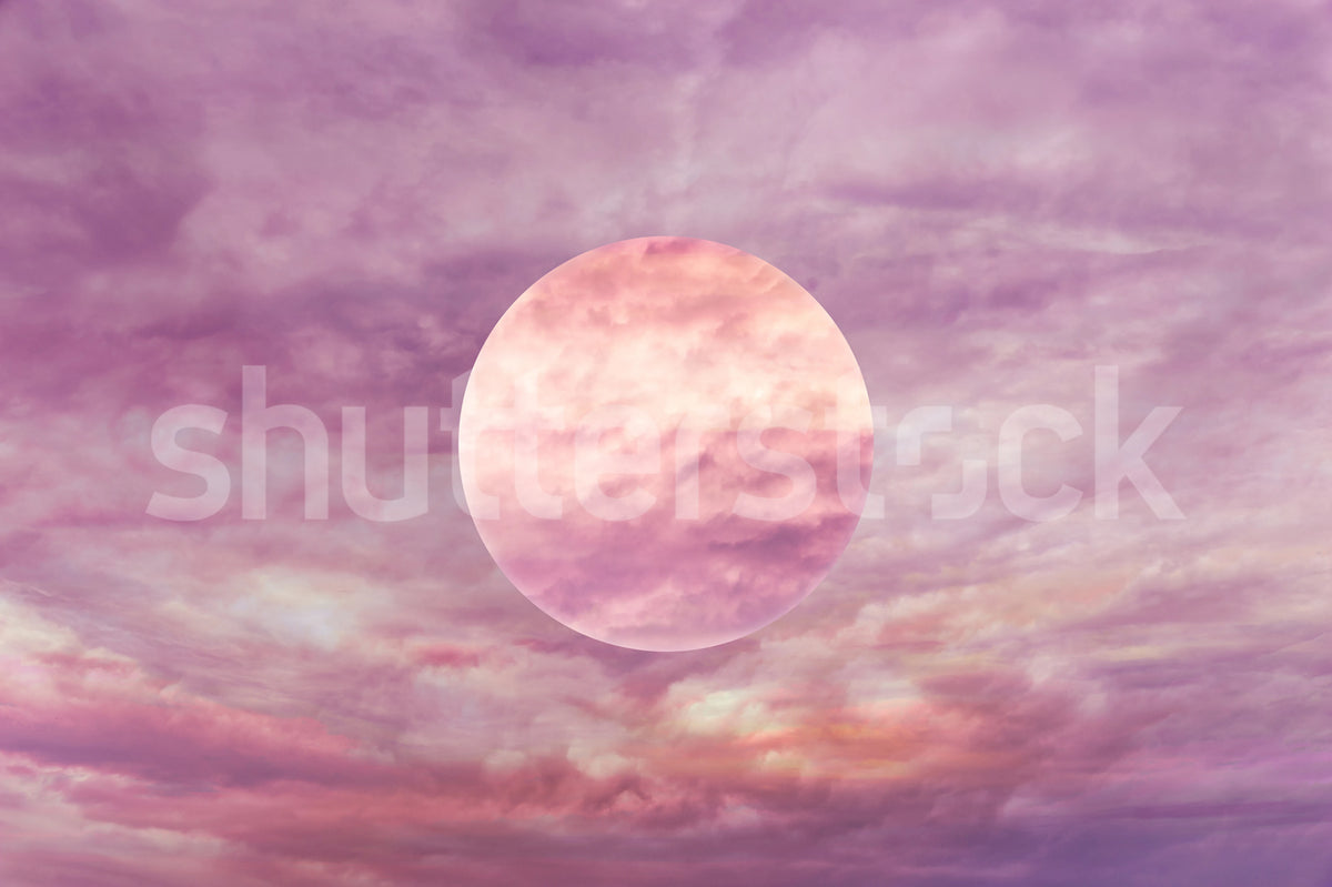 Pink Moon Mural Wallpaper - pure wallpaper artwork