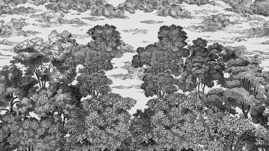 Bellewood Under The Clouds, Graphite Mural Wallpaper