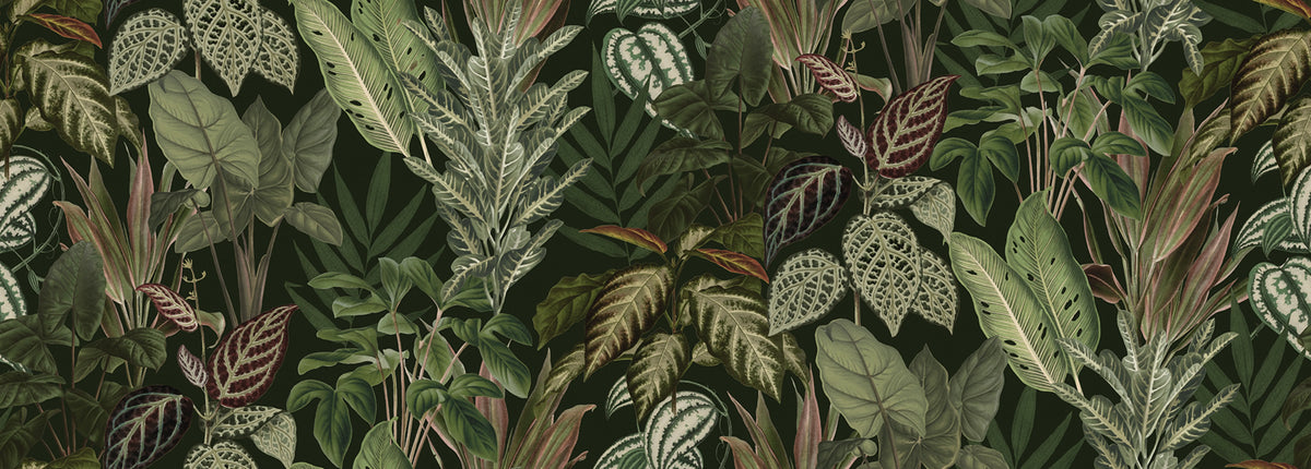 Mischievous Jungle, Lush Mural Wallpaper - pure wallpaper artwork