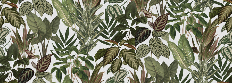 Mischievous Jungle, White Mural Wallpaper