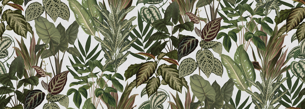 Mischievous Jungle, White Mural Wallpaper - pure wallpaper artwork