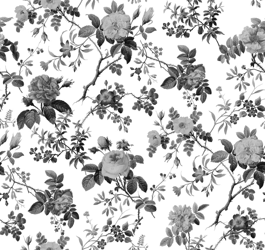 Thorn Rose, Graphite Mural Wallpaper