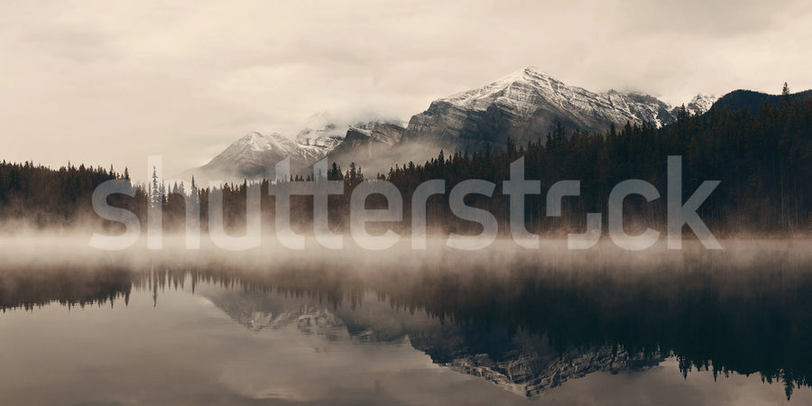 Early Morning Mural Wallpaper