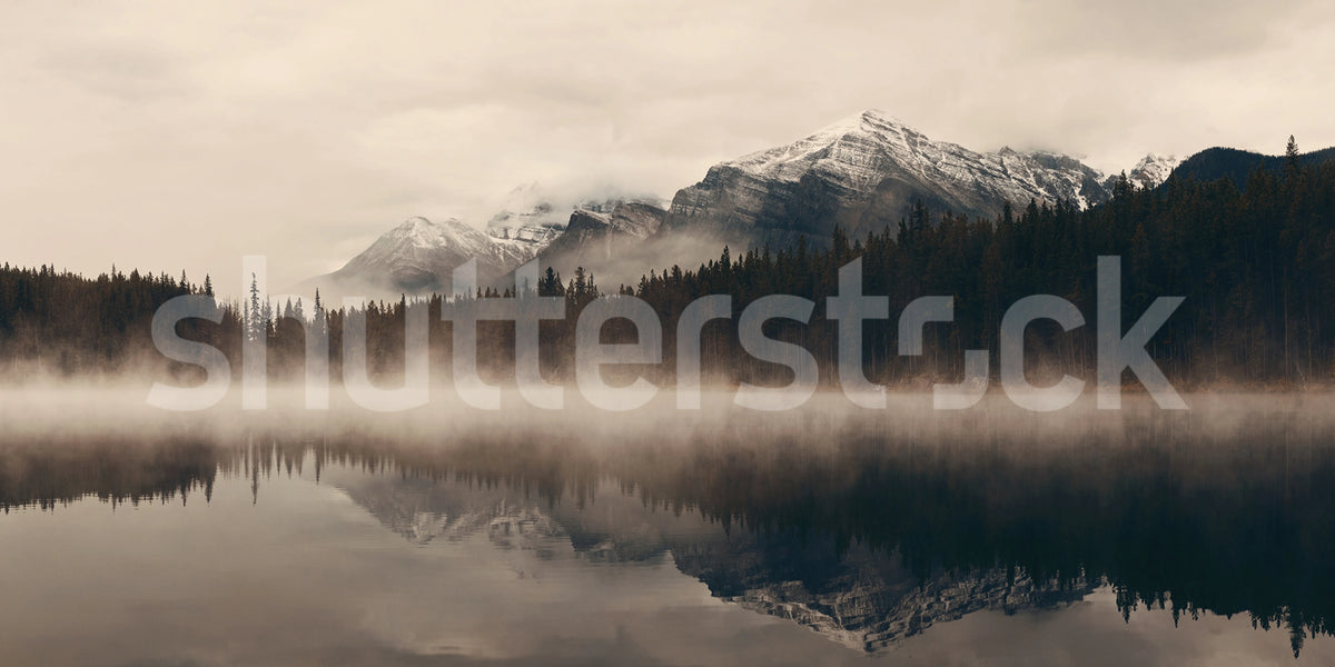 Early Morning Mural Wallpaper - pure wallpaper artwork