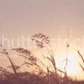 Pink Sunset Mural Wallpaper - pure wallpaper artwork