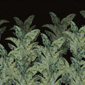 Jungle Pearl, Black Mural Wallpaper - pure wallpaper artwork