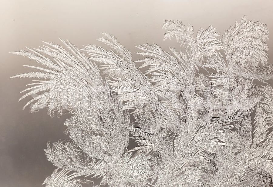 Ice Crystals Mural Wallpaper