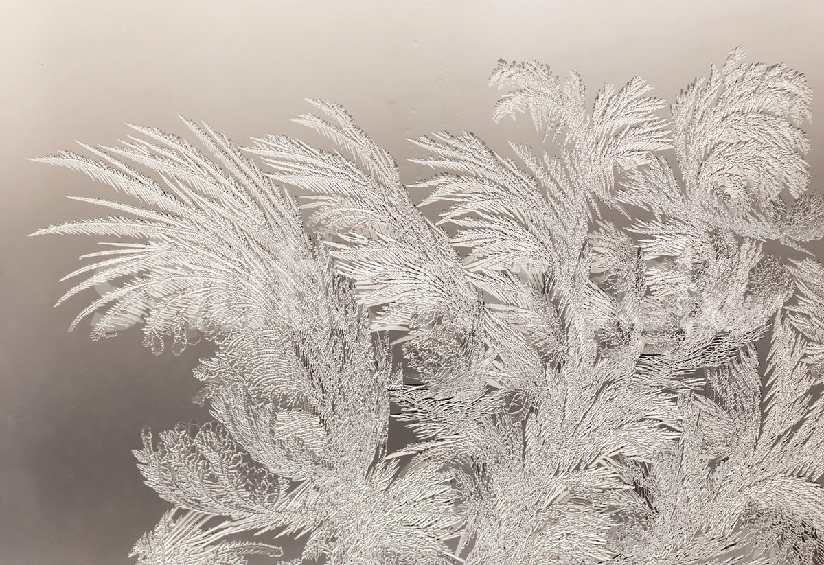 Ice Crystals Mural Wallpaper - pure wallpaper artwork