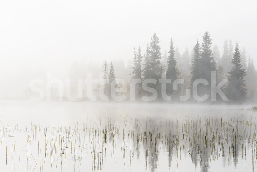 Frosty Lake Mural Wallpaper
