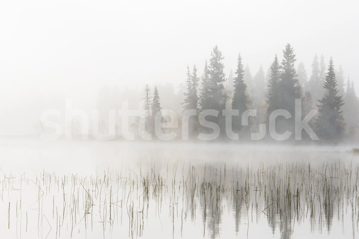 Frosty Lake Mural Wallpaper - pure wallpaper artwork