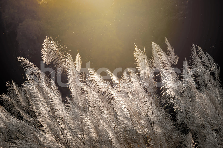 Winter Straw Mural Wallpaper
