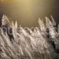 Winter Straw Mural Wallpaper - pure wallpaper artwork