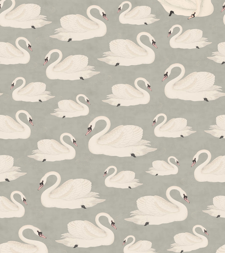 Whooper Swan, Soft Blue Mural Wallpaper