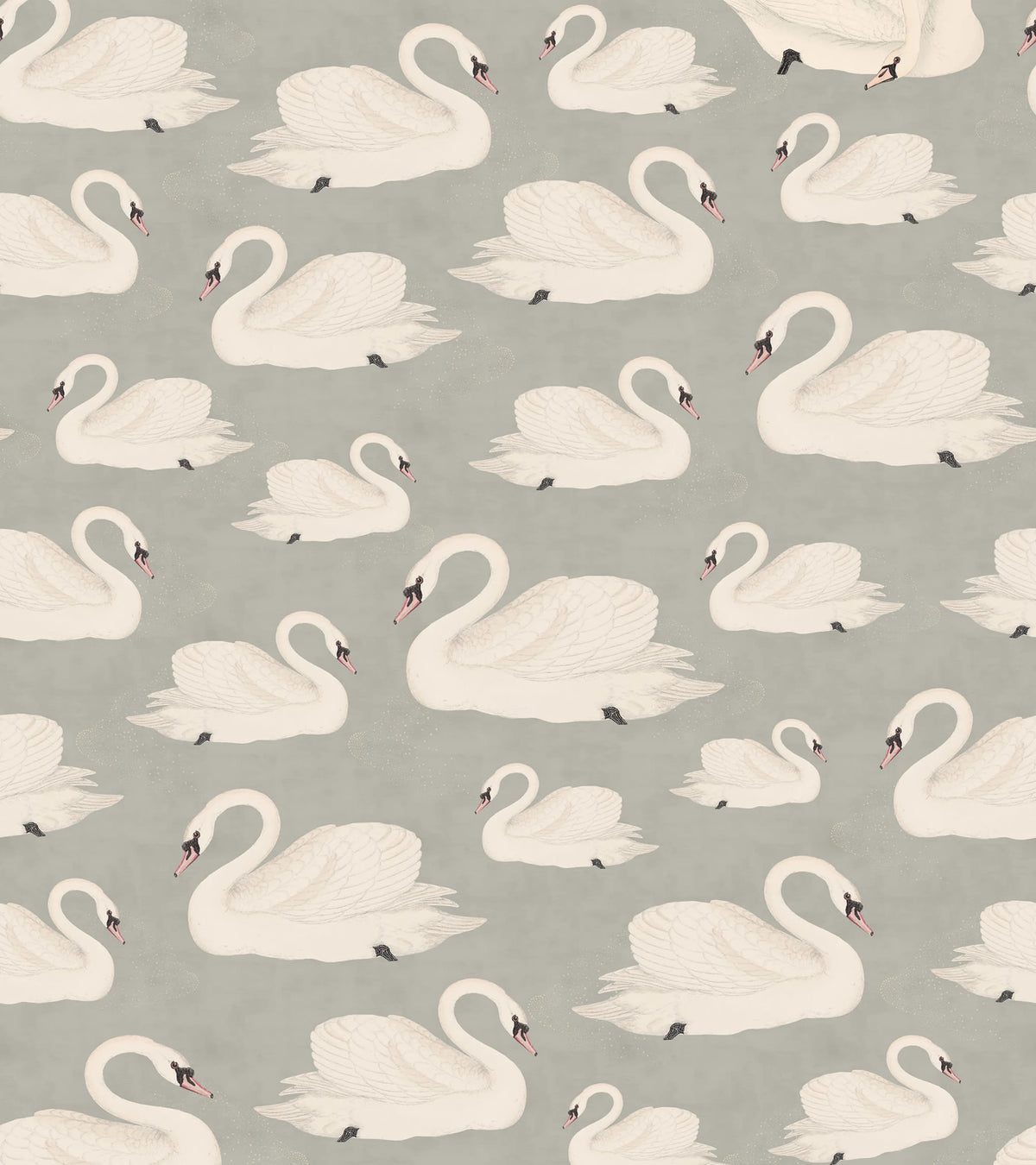 Whooper Swan, Soft Blue Mural Wallpaper - pure wallpaper artwork