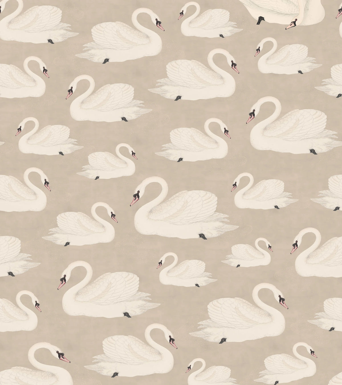 Whooper Swan, Beige Mural Wallpaper - pure wallpaper artwork
