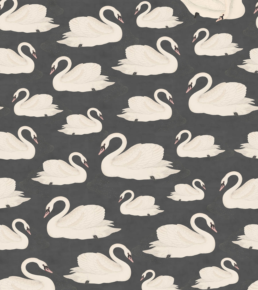 Whooper Swan, Black Mural Wallpaper