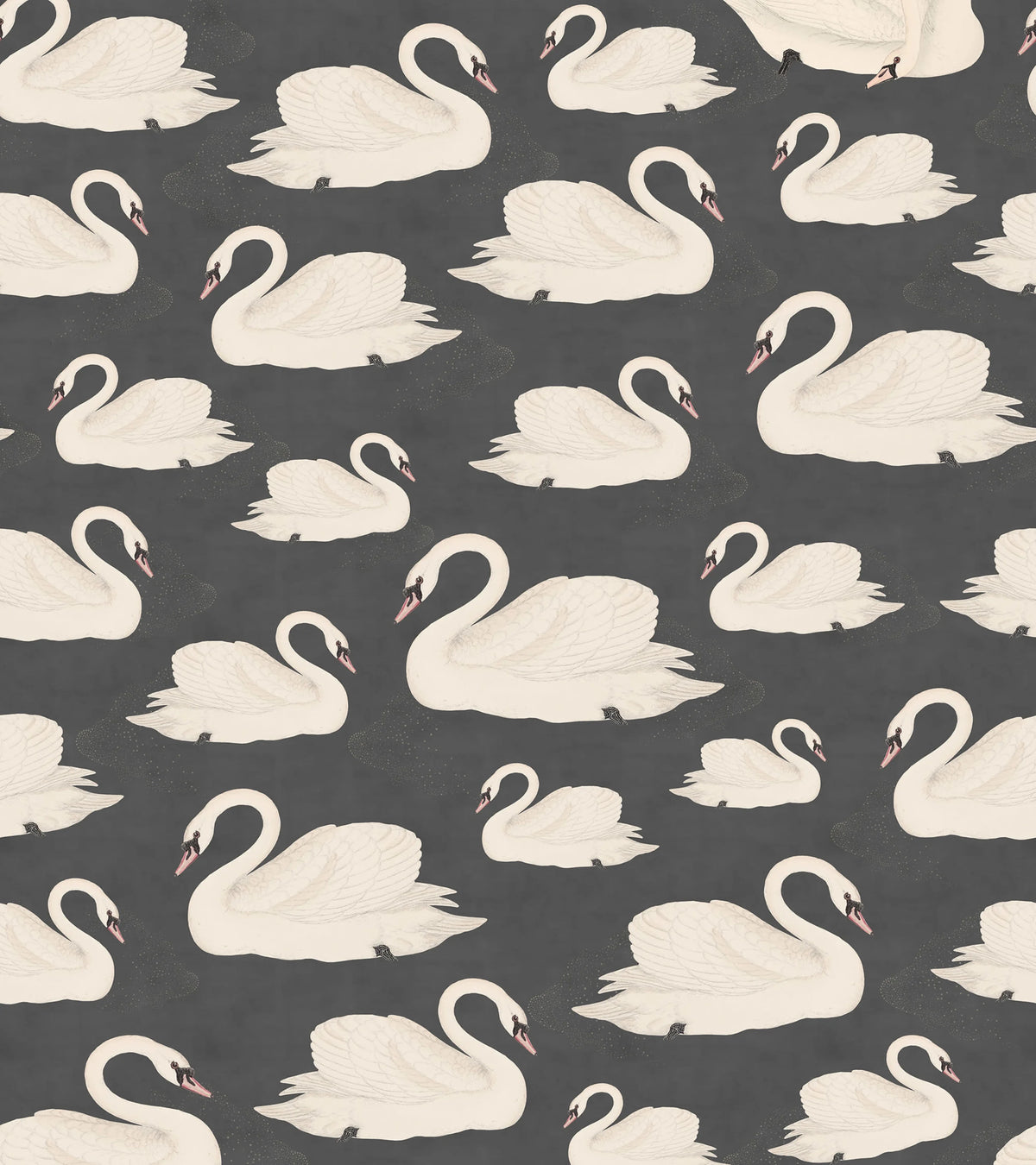 Whooper Swan, Black Mural Wallpaper - pure wallpaper artwork