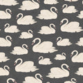 Whooper Swan, Black Mural Wallpaper - pure wallpaper artwork