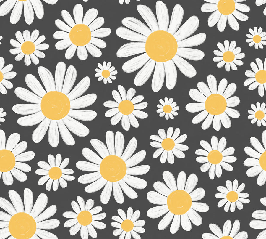 Dashing Daisies, Midnight Mural Wallpaper